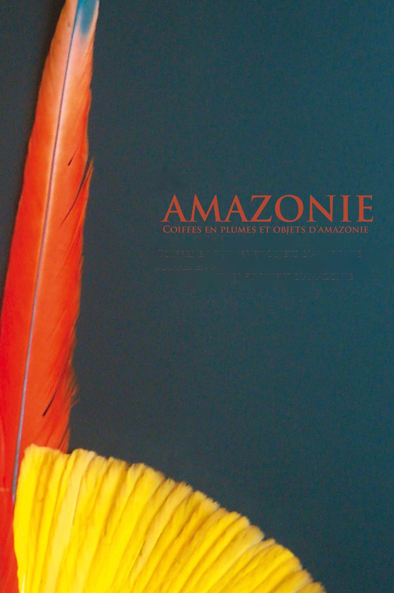 Exposition AMAZONIE - Galerie Punchinello